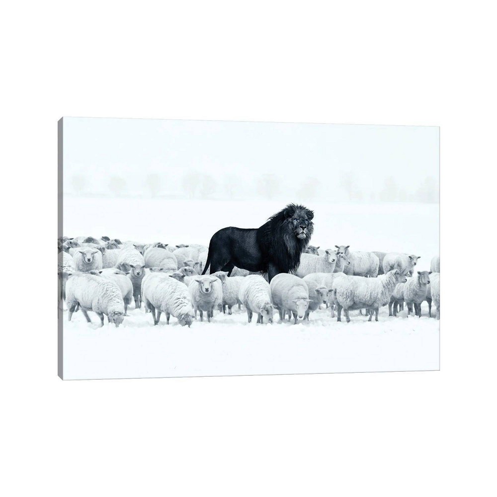 Photos - Wallpaper 18" x 26" x 1.5" Lion Among Sheep by Ruvim Noga - iCanvas: Modern Giclée W