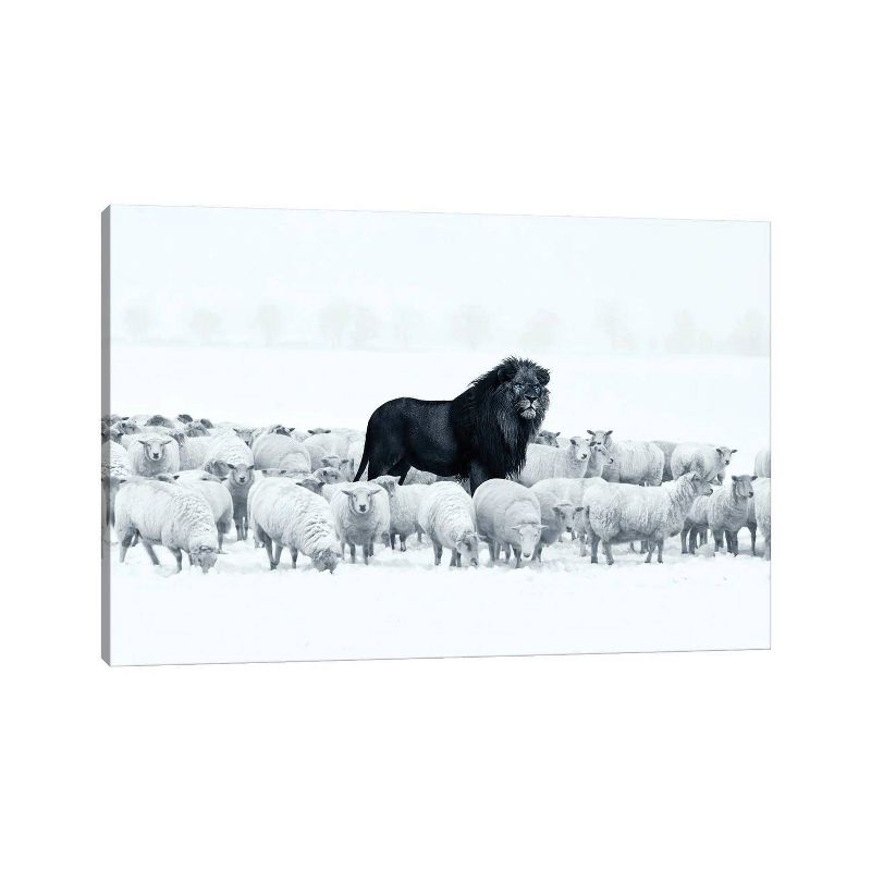 Lion Among Sheep by Ruvim Noga Unframed Wall Canvas - iCanvas, 1 of 4