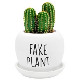 Esterno Fake Plant Planter Pot; Small Resin Decorative Container for Indoor/Outdoor Gardening