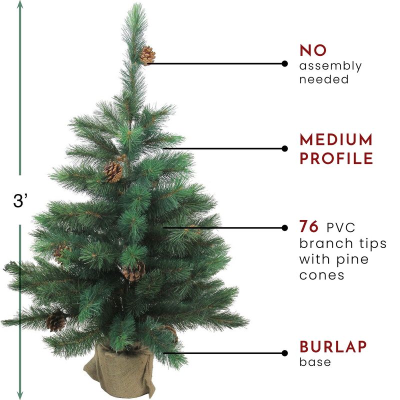 Northlight 3' Unlit Artificial Christmas Tree Royal Oregon Pine, 4 of 5