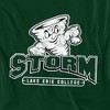 Lake Erie College Distressed Primary Logo Kids T-Shirt For Youth Hunter Green - 2 of 4
