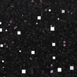 kansas city royals 1969-1978