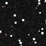 kansas city royals 1969-1978