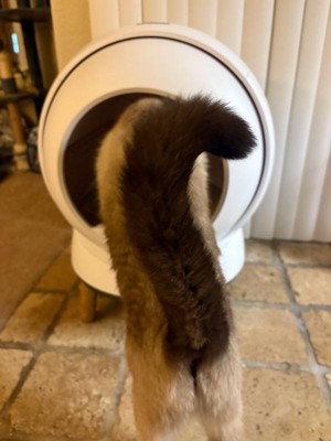 Guest review image 1 of 3, zoom in