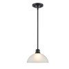 Millennium Lighting Amberle 1 - Light Pendant in  Matte Black - 3 of 4