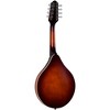 The Loar Honey Creek A-Style LM-110E Acoustic-Electric Mandolin Brownburst - 2 of 4