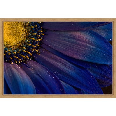 Amanti Art Blue Rays by Porsteinn Ingibergsson Canvas Wall Art Print Framed 23-in. x 16-in.
