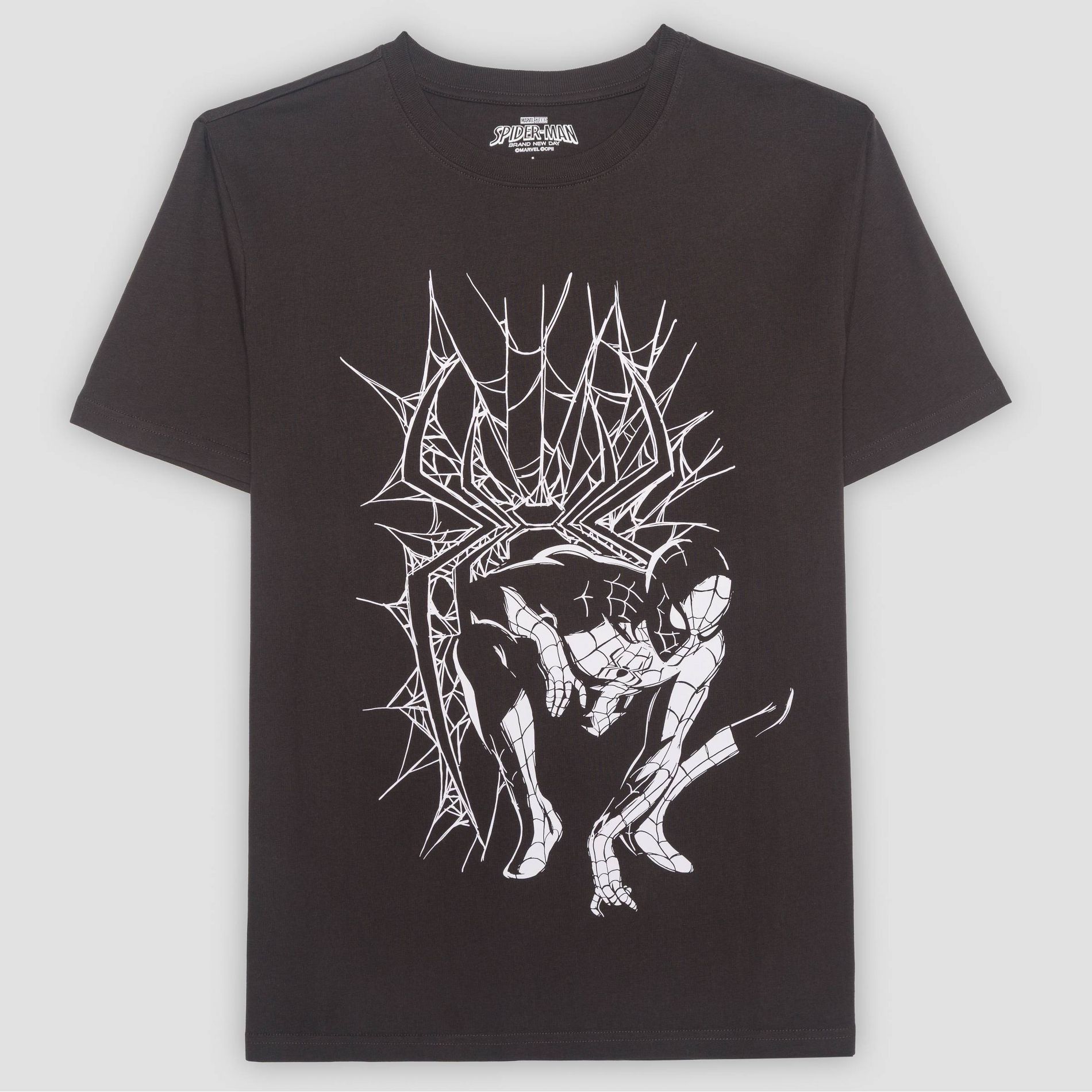 Men's Spider-Man Dark Webs Short Sleeve Graphic T-Shirt - Black