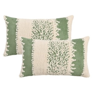 REGALWOVEN Plush Boho Decorative Soft Cozy Pillow Covers 2 Pcs - 1 of 4