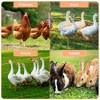 Large Metal Chicken Coop, Chicken Runs for Yard with Cover, Chicken Run with Double Door, and Tri-Supporting, Walk in Chicken Coop for Outdoor - 3 of 4
