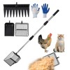 3-In-1 Chicken Coop Cleaner Tool with Adjustable Handle (18-35") - Heavy Duty Scoop, Rake & Shovel for Sand, Litter & Poultry Waste - 2 of 4