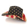 Western Express Red Brown and Blue Americana Straw Western Hat - 3 of 4