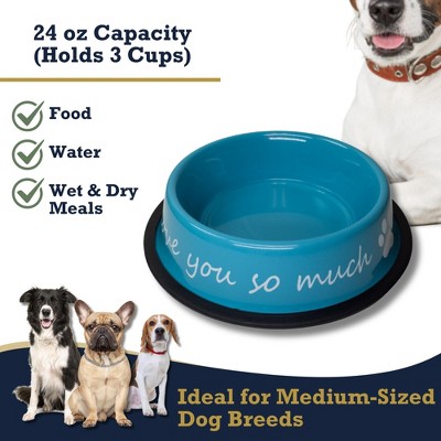I Love You So Much Blue Stainless Steel Elevated Dog Bowl (24oz)