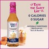 Jordan's Skinny Syrups Naturally Sweetened Skinny Syrups Salted Caramel - 12.7 fl oz - 2 of 4