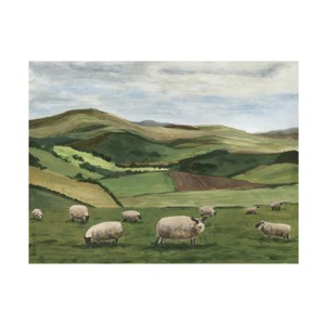 Trademark Fine Art - Michael Willett  Highland Sheep II Canvas Art - 1 of 4