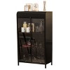 47.6" Tall Metal Storage Cabinet with Glass Doors & Flip-Top, 4-Tier Display Bookcase with Open Shelves for Living Room,Dining Room-Tanpinhause - 3 of 4