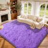 Super Soft Shaggy Rugs Fluffy Carpet, Modern Plush Area Rug for Living Room Bedroom Kids Room - 4 of 4