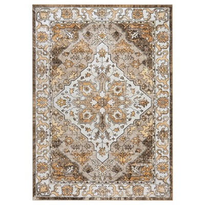 Area Rugs for Living Room Machine Washable Rugs, Non-Slip, Stain Resistant Soft Boho Vintage Carpet Low Pile Thin Rugs for Bedroom