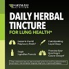 Mullein Leaf Extract Drops for Lungs, USDA Organic Liquid, Respiratory Health & Lung Support Supplement, Havasu Nutrition, 2 fl oz - 3 of 4