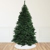 Northlight Full Buffalo Fir Artificial Christmas Tree - 12' - Unlit - 2 of 4