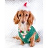 Parisian Pet 'Dear Santa Define Good' Dog Christmas T-Shirt - Festive Pet Shirt for Cats & Dogs, Green - 4 of 4