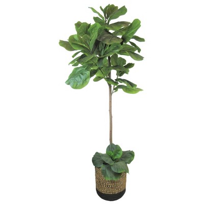 60" Artificial Fig Tree in Natural Basket - LCG Florals