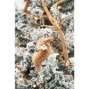 Gallerie II Abaca Sea Horse Ornament - 2 of 3