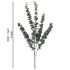 34.5"H Sullivans Towering Tall Eucalyptus, Green - 3 of 4