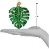 Old World Christmas Blown Glass Ornament for Christmas Tree, Monstera Leaf - 2 of 4
