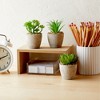 Juvale 6 Pack Artificial Succulent Plants with Pots for Office Desk, Faux Indoor Mini Cactus Decor for Home (2.7 to 4 in) - 2 of 4