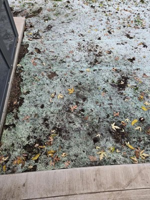 Guest review image 5 of 5, zoom in