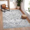 Indoor Soft Easy Vintage Luxurious Traditional Area Rug for Living Room Care Washable Floor Carpet Low Pile - 2 of 4