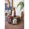 Carved Wooden Fox Shelf Sitter with Movable Joints 15"H by Kalalou - 2 of 4