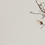 3 drawers and 1 door, natural wood color