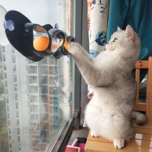 Racxily Cat toys track window suction cups toy ball scratch plastic ping pong amusing cat educational toys - 1 of 4