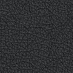 illinois fighting illini