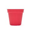 Mintra Garden Pots 4pk - 2 of 4