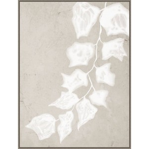 Amanti Art 32" x 42" Paper Bark III by Urban Road Framed Canvas Wall Art Print : Modern Botanical Lithograph, Polystyrene Frame - 1 of 4