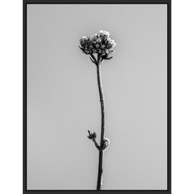 Amanti Art Amid the Flowers 16 by Teis Albers Canvas Wall Art Print Framed 18 x 24-in.