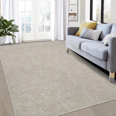 Textured Area Rug, Washable and Stain Resistant, Contemporary Farmhouse Carpet, Low Pile Accent, Non-Slip Front Door Mat for Living Room