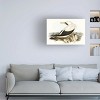 Trademark Fine Art - Elizabeth Gould  Majestic Waterbird VI Canvas Art - 2 of 4