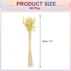 Unique Bargains Natural Dried Floral Bunny Tail Artificial Plants 60 Pcs - 2 of 4