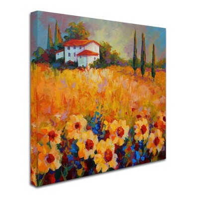 Trademark Fine Art -Marion Rose 'Tuscan Sunflowers' Canvas Art