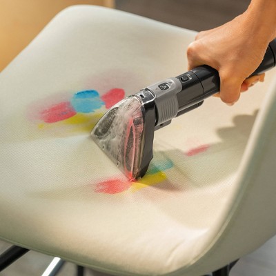Little Green Portable Carpet and Upholstery Cleaner with Pet Pro Tools
