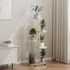 Plant Stand Indoor Outdoor, 5 Tier Corner Tall Outdoor Plant Shelf for Multiple Plants - 4 of 4