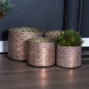 Rustic Metallic Decorative Plant Pots 10" Tall – Set of 4 by Melrose - 2 of 4
