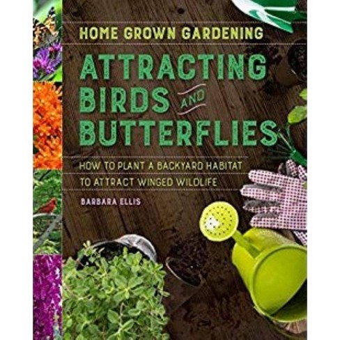 Attracting Birds And Butterflies Home Grown Gardening By