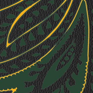 green bay packers