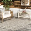 Nuloom Elaina Abstract Indoor/Outdoor Patio Area Rug 4' x 6' in Light Gray - 2 of 4