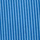 blue stripe
